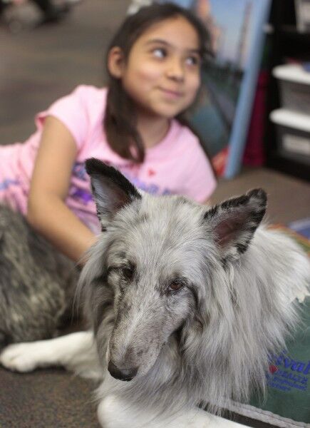 Reading with K-9 S.T.A.R.S.